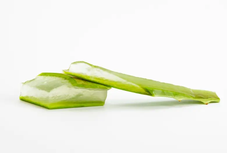 Sliced aloe vera highlighting its benefits for skin whitening