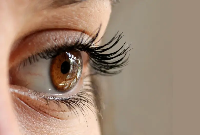 Close-Up of longer and thicker Eyelashes