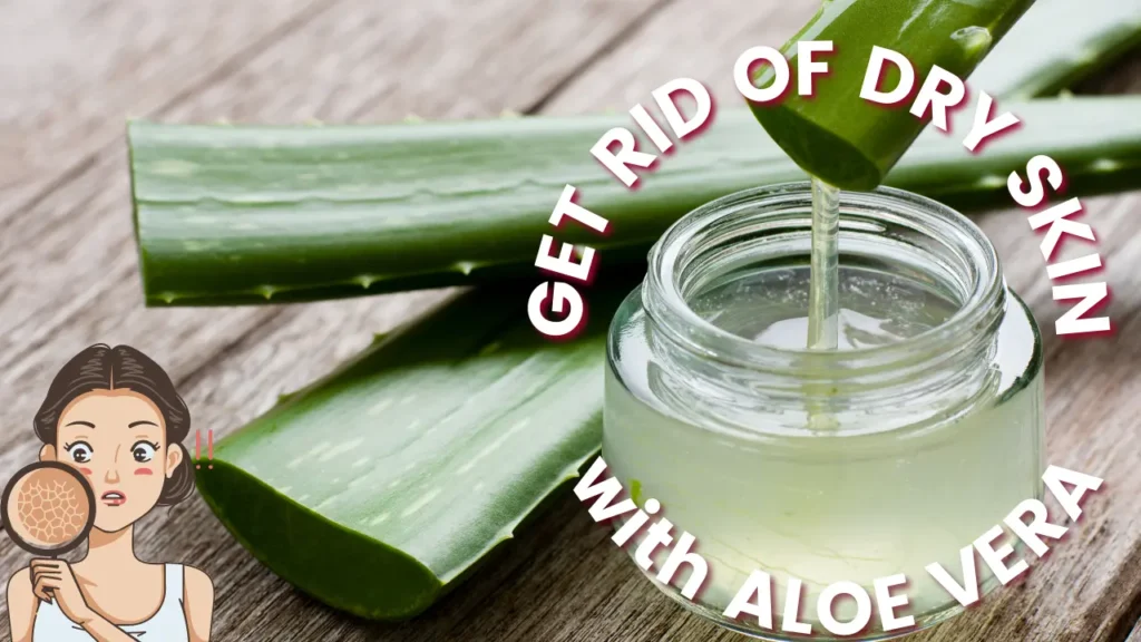 BENEFITS OF ALOE FOR DRY SKIN