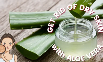 Discover the Amazing Benefits of Aloe Vera for dry Skin