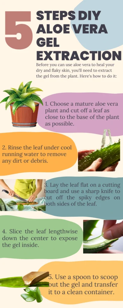 Benefits of Aloe Vera for Dry Skin