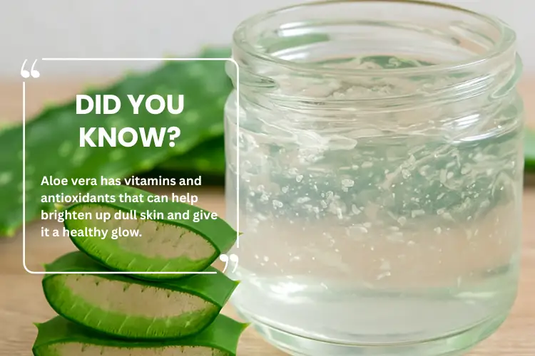aloe-vera-gel-and-fresh-leaves-for-skin-brightening